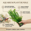 Aquarium Plant Bundle