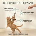 Bell-Tipped Feather Wand