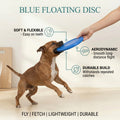 Blue Floating Disc
