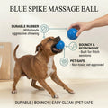 Blue Spike Massage Ball