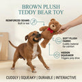 Brown Plush Teddy Bear Toy
