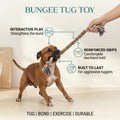 Bungee Tug Toy