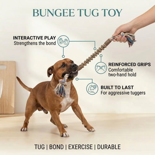 Bungee Tug Toy