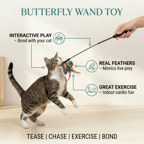 Butterfly Wand Toy