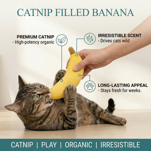 Catnip Filled Banana