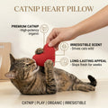 Catnip Heart Pillow