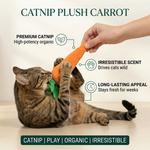 Catnip Plush Carrot