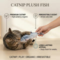 Catnip Plush Fish
