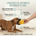 Cheese-Flavored Rubber Cube
