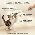 Feather Teaser Wand