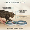 Figure-8 Track Toy