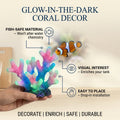 Glow-in-the-Dark Coral Decor