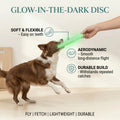 Glow-in-the-Dark Disc