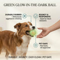 Green Glow-in-the-Dark Ball