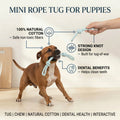 Mini Rope Tug for Puppies