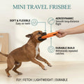 Mini Travel Frisbee