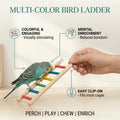 Multi-Color Bird Ladder