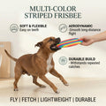 Multi-Color Striped Frisbee