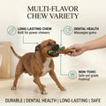 Multi-Flavor Chew Variety