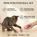 Pink Pom-Pom Ball Set