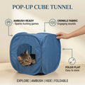 Pop-Up Cube Tunnel