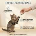 Rattle Plastic Ball