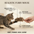 Realistic Furry Mouse