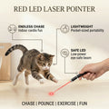 Red LED Laser Pointer