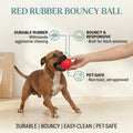 Red Rubber Bouncy Ball