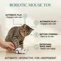 Robotic Mouse Toy