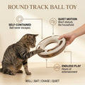 Round Track Ball Toy