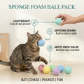 Sponge Foam Ball Pack
