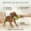 Squeaky Plush Avocado