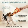Squeaky Plush Pizza Slice