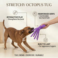 Stretchy Octopus Tug