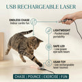 USB Rechargeable Laser