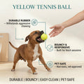 Yellow Tennis Ball
